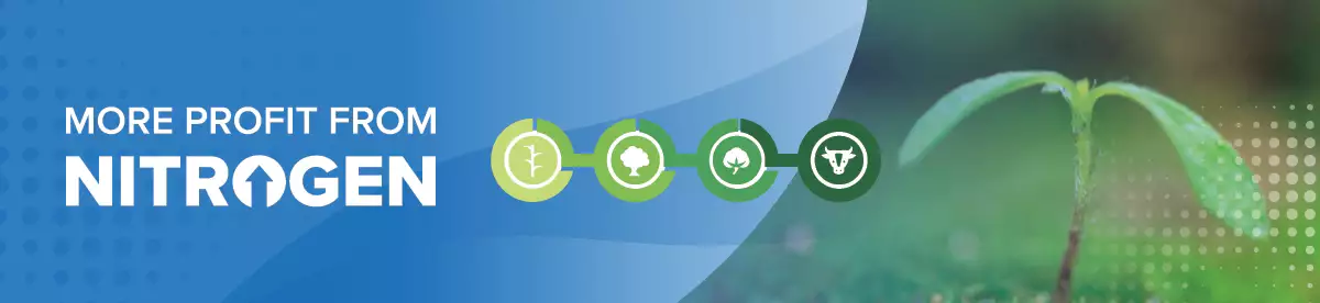 More Profit From Nitrogen