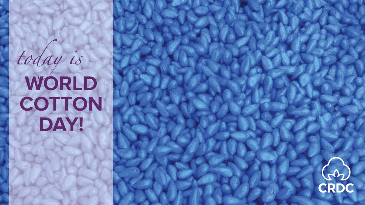 Today is World Cotton Day