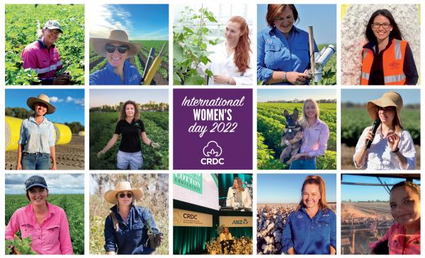 Photos of women in the cotton industry for International Women's Day