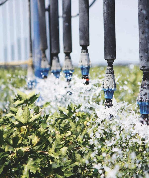 Lateral move irrigator