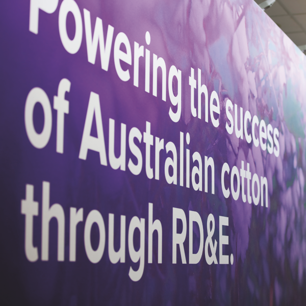 Powering the success of Australian cotton