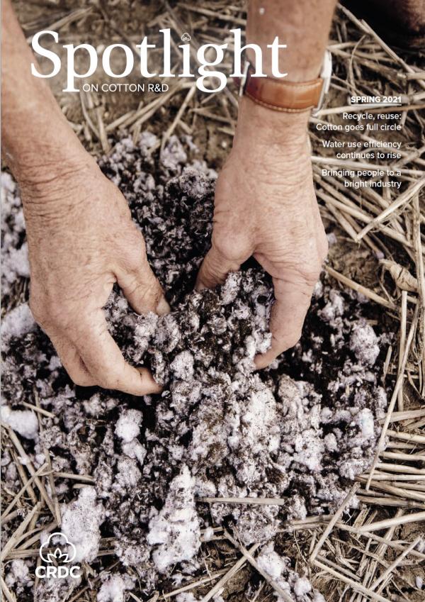 Hands inspecting pile of cotton 