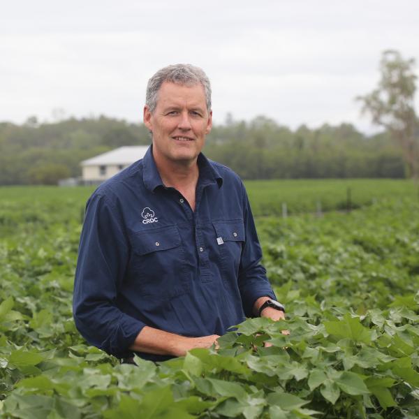 Warwick Waters standing in a cotton field. 