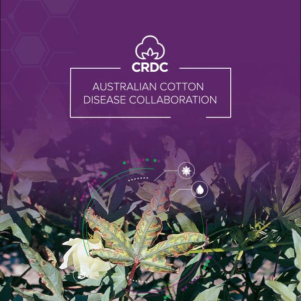 Aust Cotton Disease Collaboration