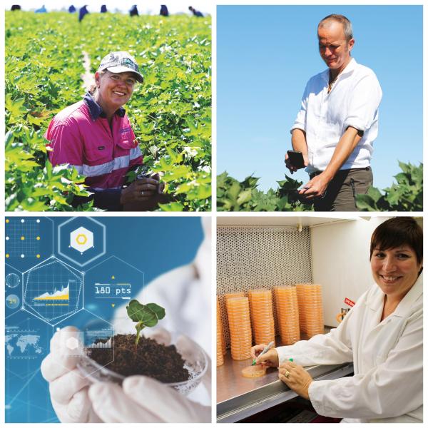 Quadriptych: woman in field, man taking photo of plant, seedling in petri dish, woman in lab