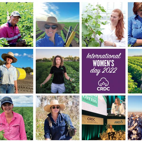 Photos of women in the cotton industry for International Women's Day