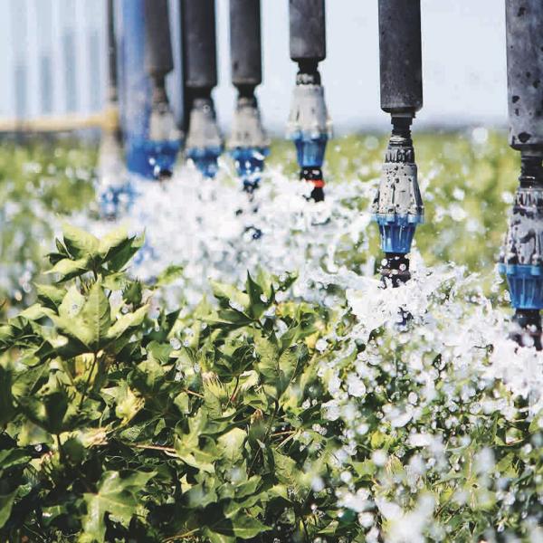 Lateral move irrigator