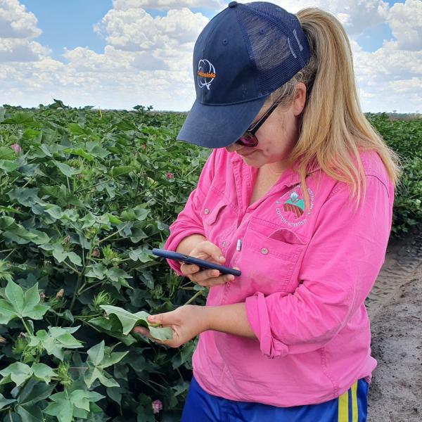 Woman taking photo of a leaf in a field