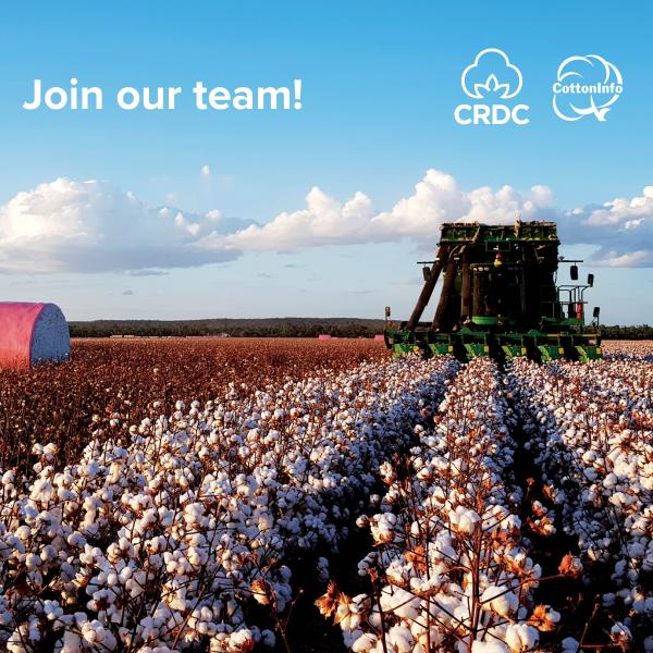 Join our team!