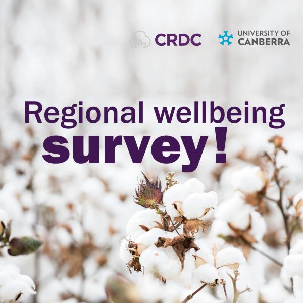 Regional Wellbeing Survey, in front of blooming cotton bolls