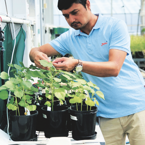 Dr Dinesh Kafle checking plants in a greenhouse