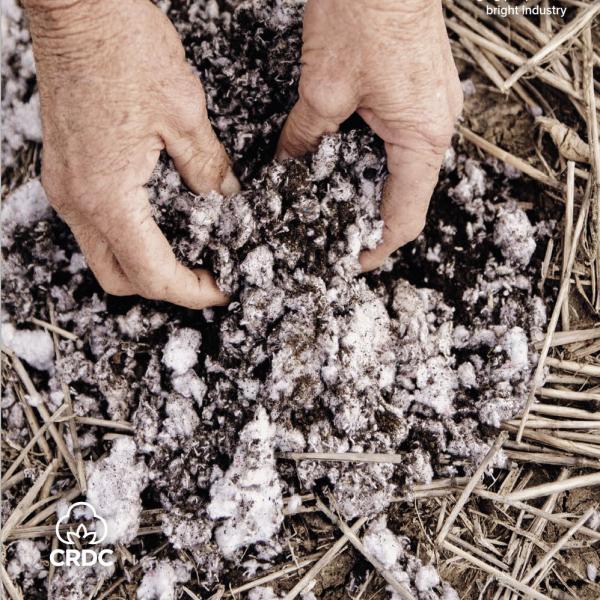 Hands inspecting pile of cotton 