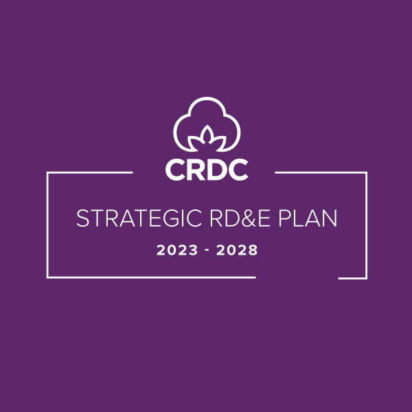 Strategic Plan icon