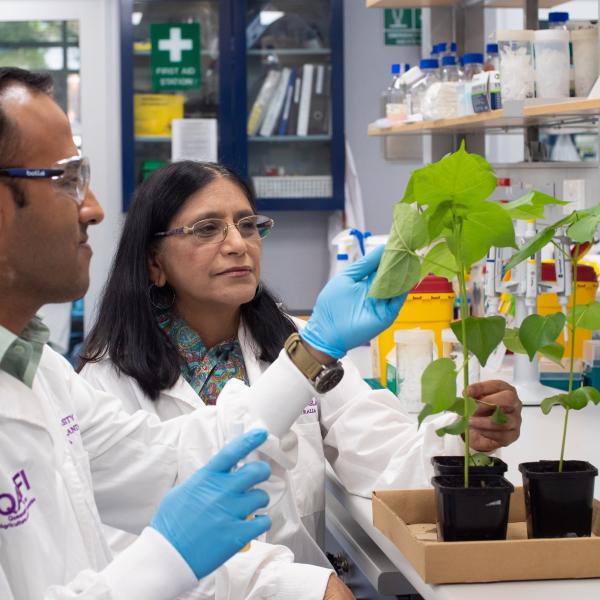 Ritesh Jain and Professor Neena Mitter