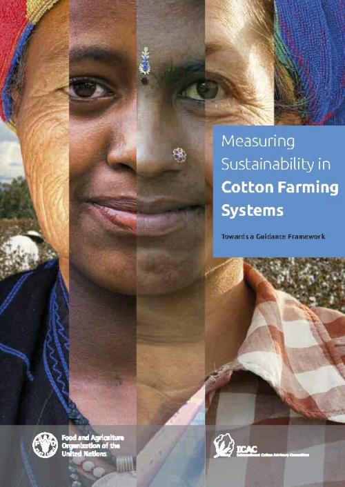 Cover of Measuring Sustainability in Cotton Farming Systems: Towards a Guidance Framework