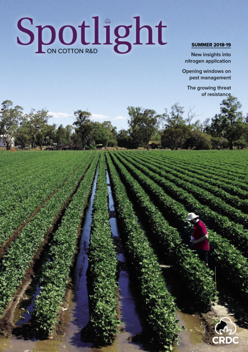 Cover of Spotlight Magazine - Summer 2018-19. Rows of small cotton plants, with trees in the distance.