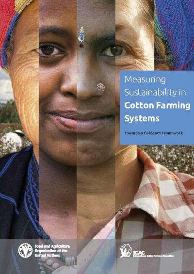 Cover of Measuring Sustainability in Cotton Farming Systems: Towards a Guidance Framework