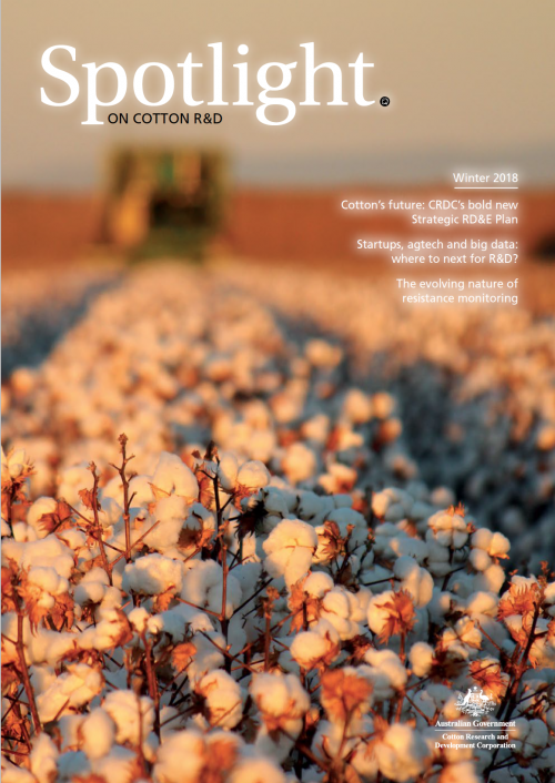 Cover of Spotlight Magazine - Winter 2018. Looking along a row of open white cotton bolls as a cotton picker drives towards the camera